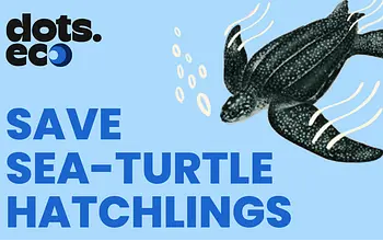 Save a Sea-Turtle Hatchling Gift Card